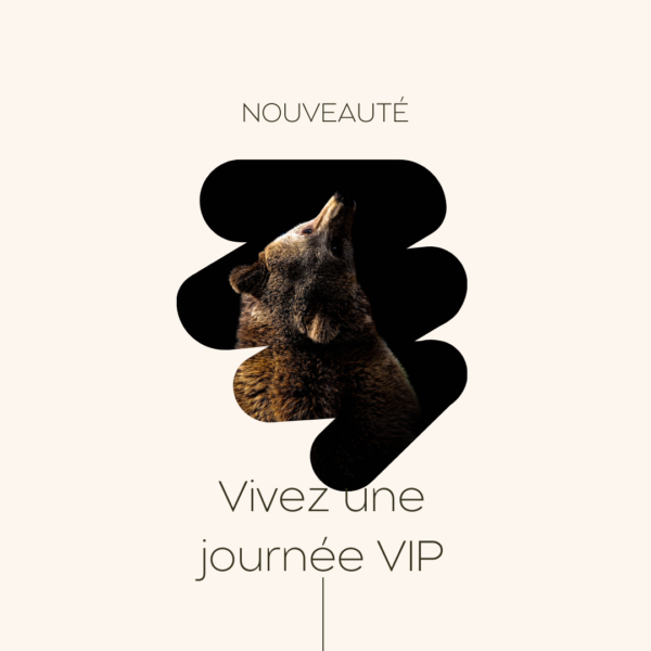 Journée Accompagnement VIP dans le parc animalier de votre choix